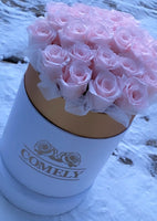 Valentine's Special - Rose Box
